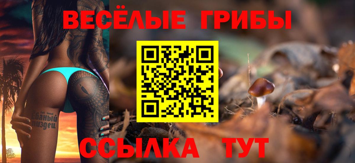 Галлюциногенные грибы мицелий Валуйки