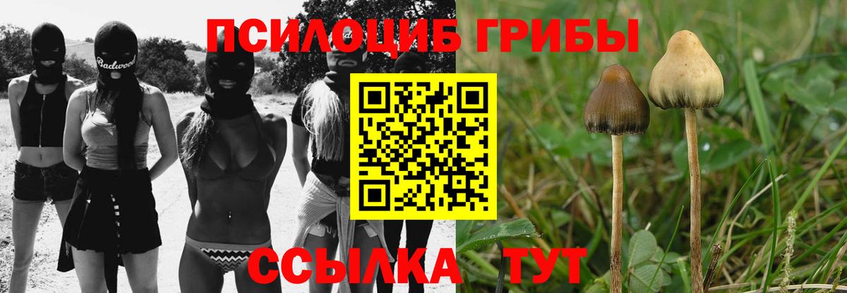 Галлюциногенные грибы прущие грибы  Вход с VPN  Валуйки 